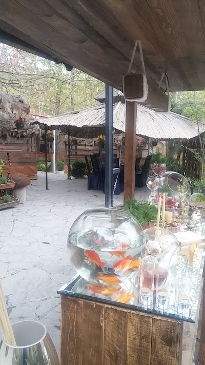 Photos of رستوران شبديز