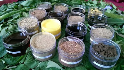 Photos of Walgama Ayurveda