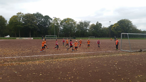 SC Fröndenberg-Hohenheide 09/20 e.V. - Thumbnail