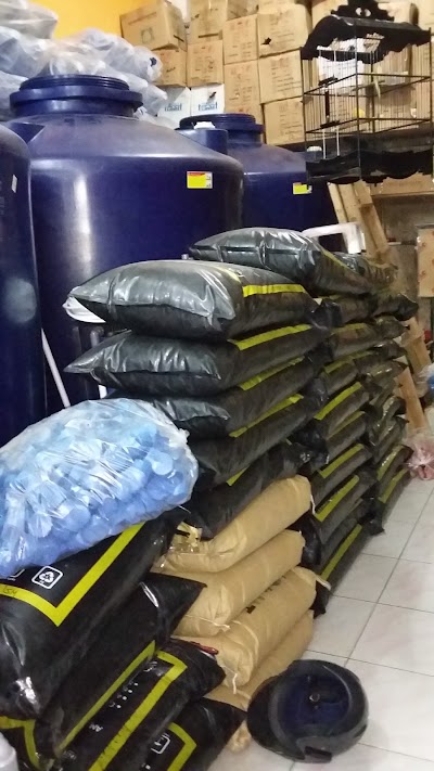 Photos of Aulia Water