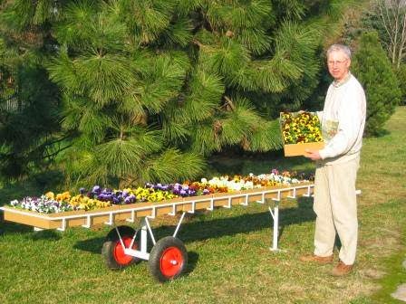 Gospodarstwo Ogrodnicze Janusza i Elżbiety Kowalczyk
