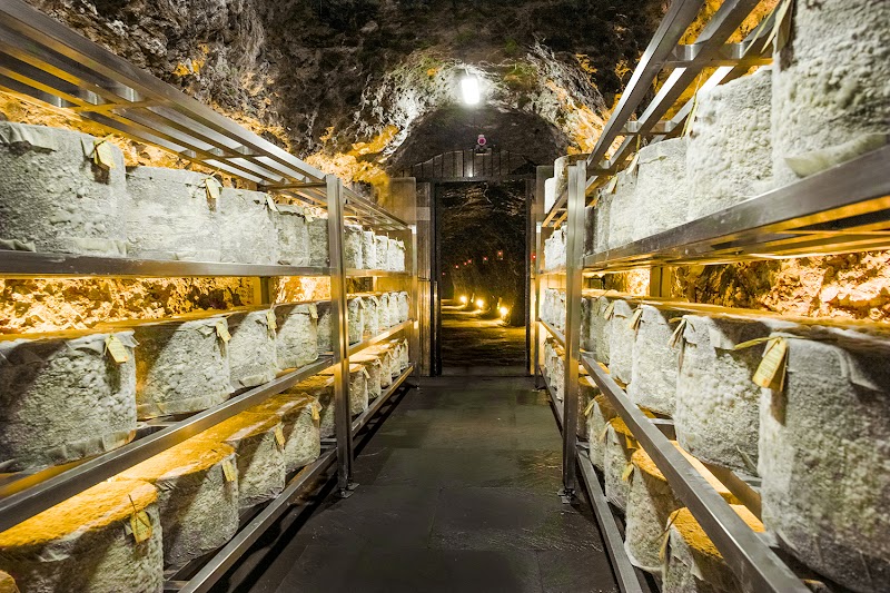 Chase Ashley Estate Ltd photo 2