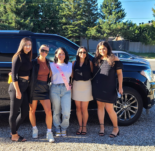 ALR Private Car Services - Niagara Limo Rental - Thumbnail