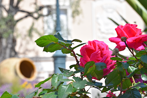 Photo n°15 de Mairie de Beaulieu-sur-Mer à Beaulieu-sur-Mer (Hôtel de ville)
