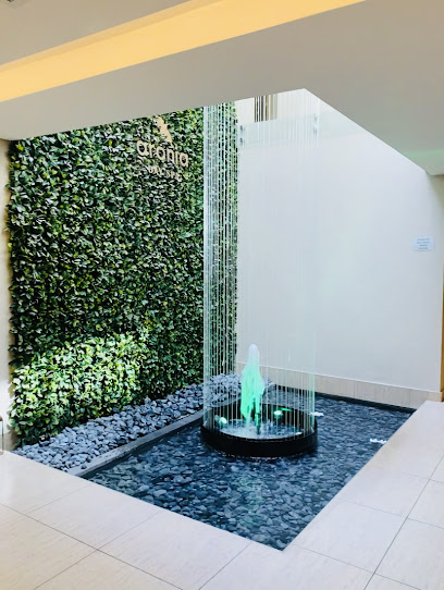 Aronia Day Spa