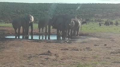 Photos of Hapoor Drinking Hole Lookout