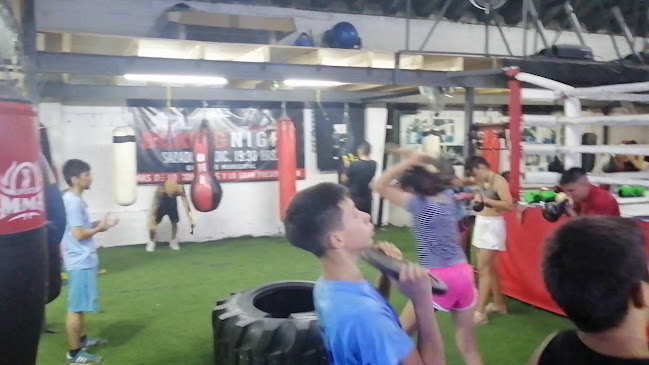 Opiniones de La Meca Del Boxeo en Ciudad del Plata - Gimnasio