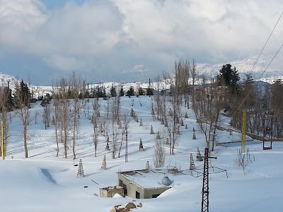 Photos of Sayidat Al Qarn - سيدة القرن