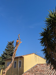 Photo n°33 de JBE Elagage à Cassis (Service d'élagage)