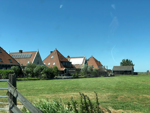 Douwe Pasdeloup Cosmediline - Thumbnail