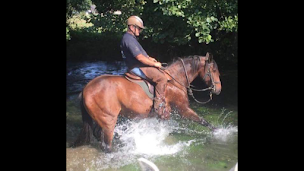 Photo n°20 de LES CRINIERES DE LA FORET à Les Grandes-Ventes (Centre de randonnée équestre)