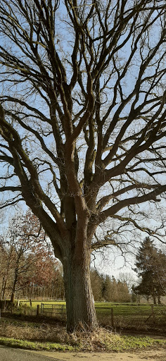 Kapelle Friedhof Leezen - Thumbnail