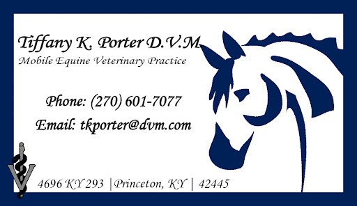 Tiffany K Porter, DVM - Thumbnail