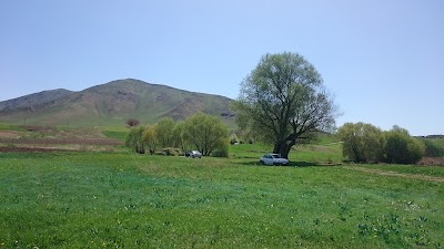 Photos of معروفی