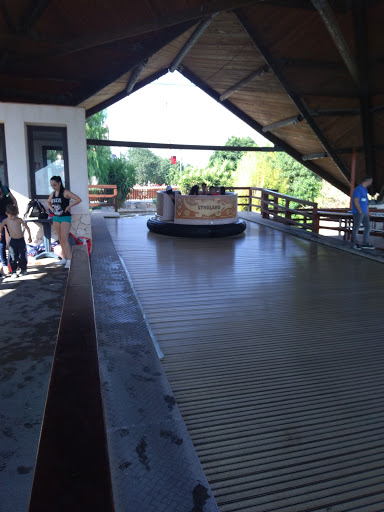 Crocodile Rapids - Visual