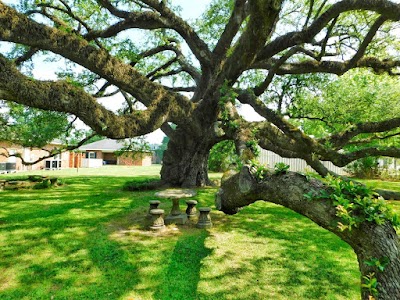 Imperial Calcasieu Museum