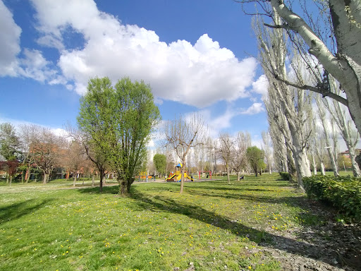 Parco Falcone Borsellino