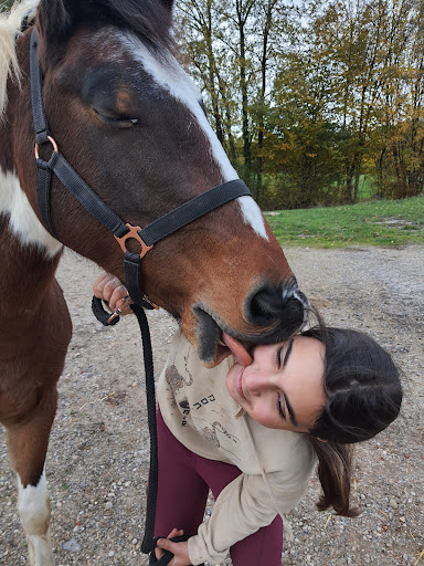 Centre Equestre Neuville Les Dames - Thumbnail