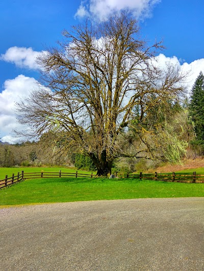 Jewell Meadows State Wildlife Management Area