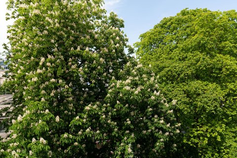 The Hotel Lucerne, Autograph Collection by null