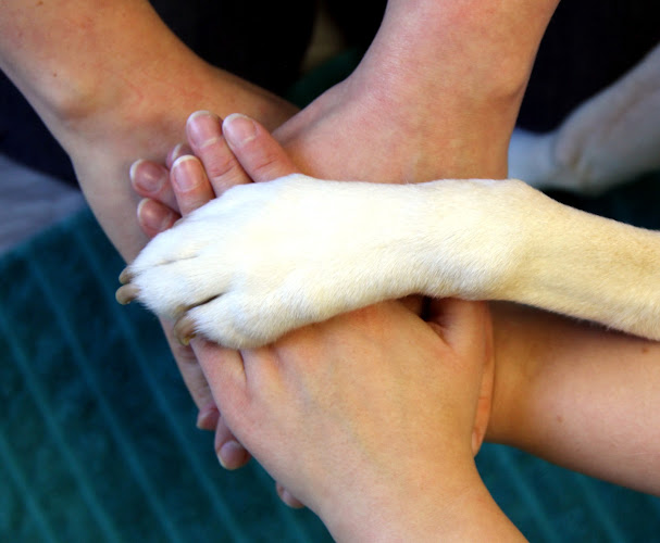 Praxis für Ergotherapie Melanie Schaffrath