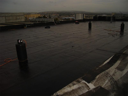 Roberto Scotto - Visual