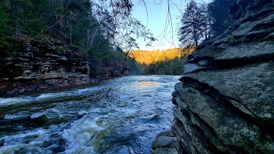 Betty Dunn Nature Center