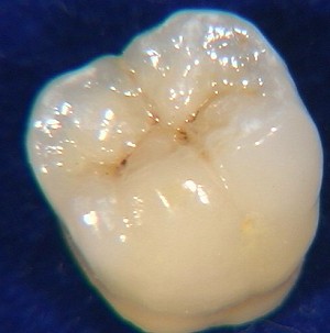 http://www.laboratoire-lemouel.fr/