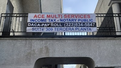 ACE MULTI SERVICES