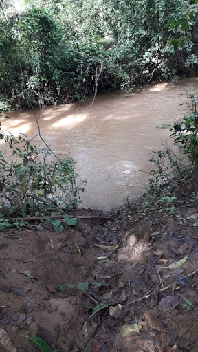 Río El Amate - Thumbnail