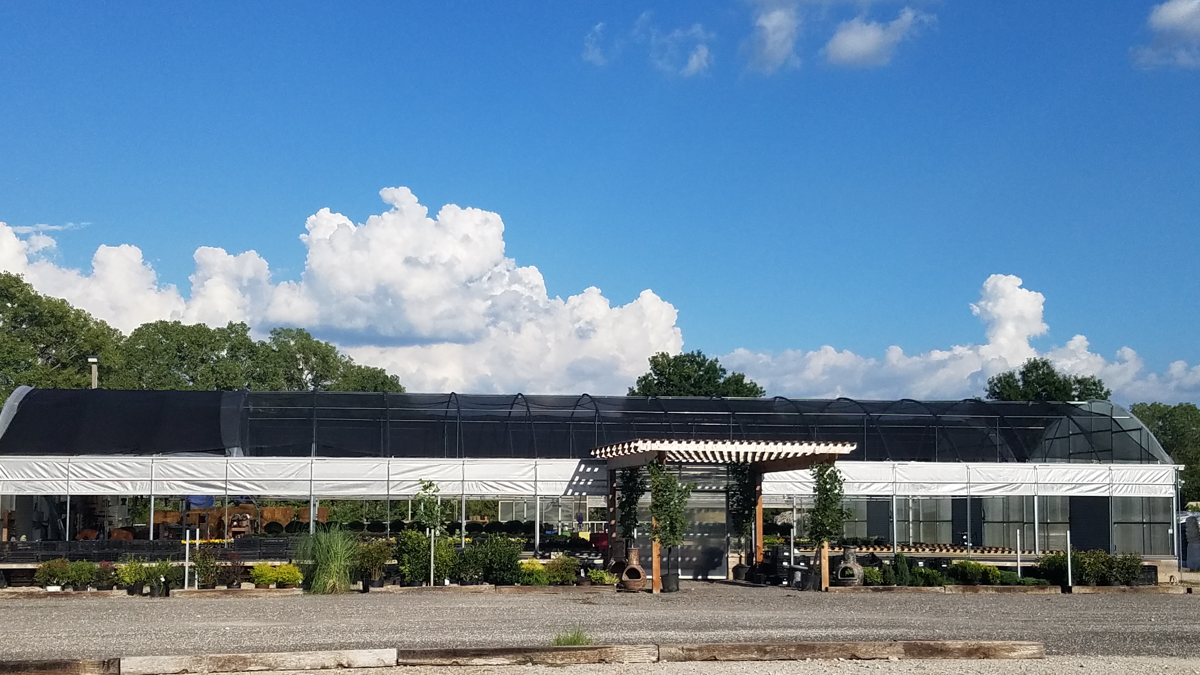 Riddle Plant Farm