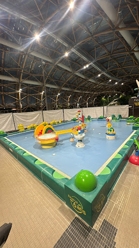 Photo de ERNA piscine spa à Feigères (74160)