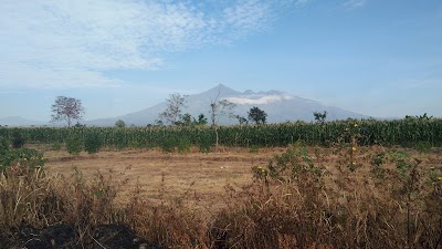 Photos of Eka Cell