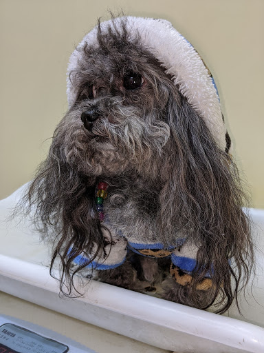 Sheepshead Bay Veterinary Group - Thumbnail