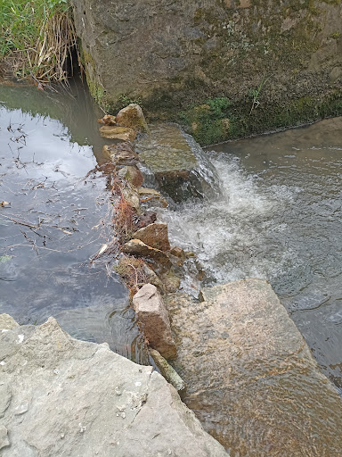 Photo de Familles Rurales - Soutien à Domicile