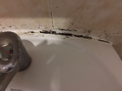 Photos of Royal Beach Motel