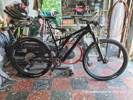Alien Bikes - Visual