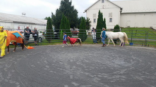 Colebrook Stables - Thumbnail