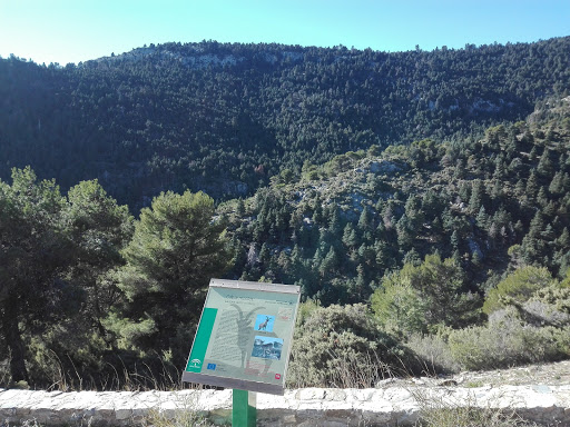 Mirador de Luis Ceballos - Thumbnail