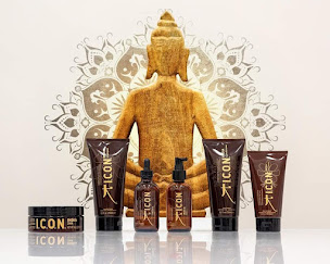 Photo n°33 de Bol D'Hair Coiffure à Châteaubriant (Magasin de perruques)