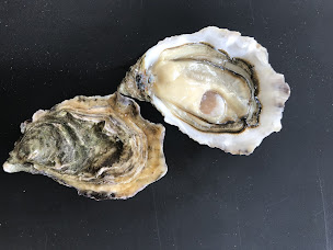 Photo n°49 de Les Huîtres de l'Ile de Gavrinis - H2G à Baden (Restaurant)