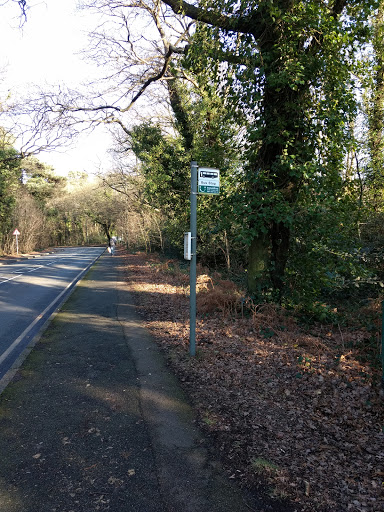 Weybridge Railway Station North - Thumbnail