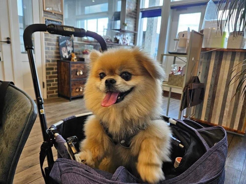 窓ガラスフィルム/防犯フィルム職人 IKEMA