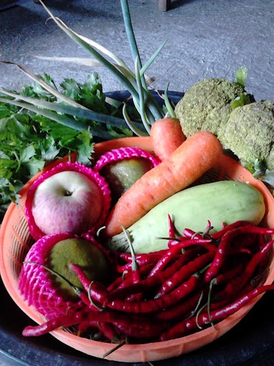 grocery-or-supermarket