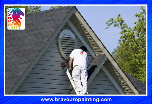BravePro Painting