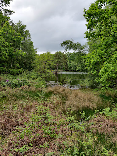 Heath Pool - Visual