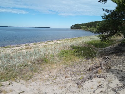 Photos of Pedassaare loodusrada