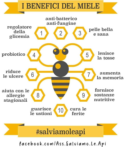 Azienda apistica L'ape dorata - Thumbnail