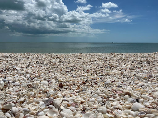 Bowman's Beach - Visual