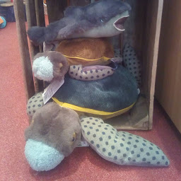 Photo n°38 de Pinocchio à Chalonnes-sur-Loire (Magasin de jeux de cartes/jeux de plateaux)